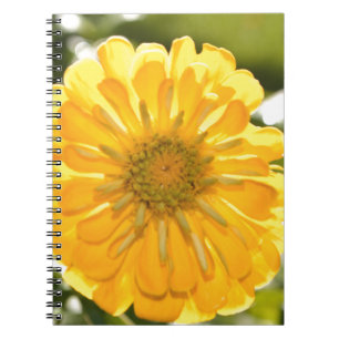 Caderno Espiral Margarida floral amarela elegante