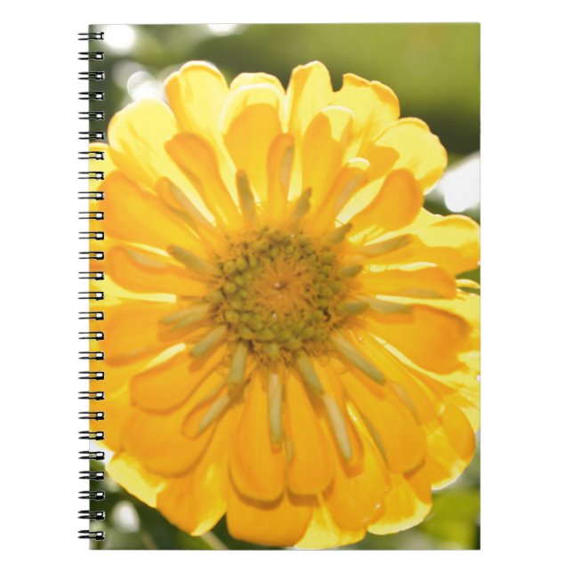 Caderno Espiral Margarida floral amarela elegante (Frente)