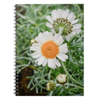 Caderno Espiral Marguerite