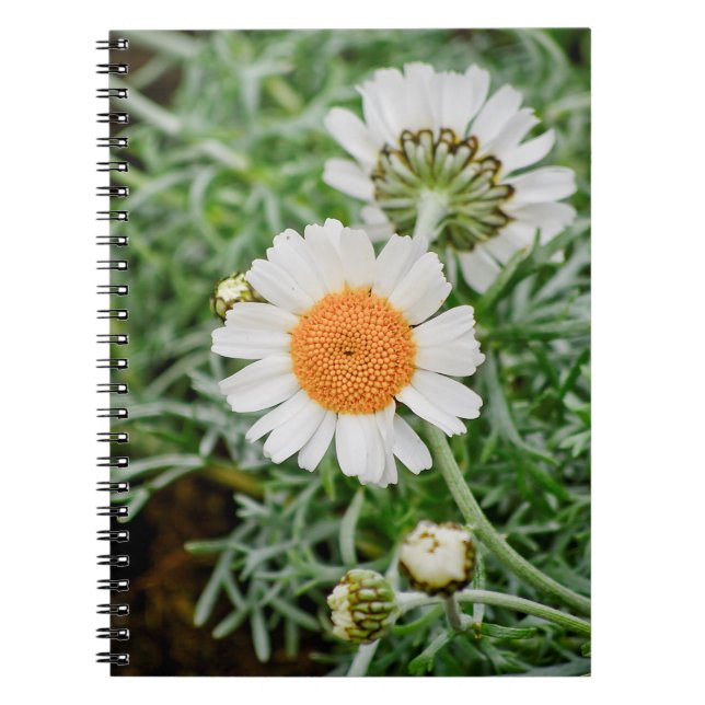Caderno Espiral Marguerite (Frente)