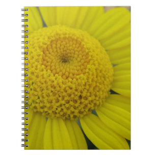 Caderno Espiral Marguerite amarela bonito