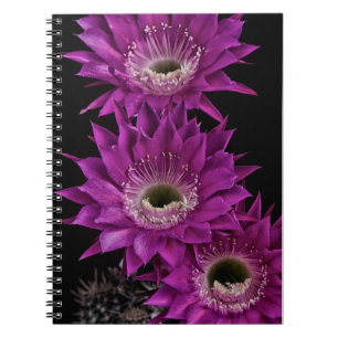 Caderno Espiral Maria Piazza à terceira