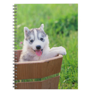 Caderno Espiral Marionete siberiano em Pote