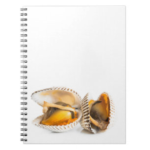 Caderno Espiral Marisco