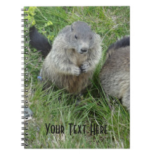 Caderno Espiral Marmot notebook