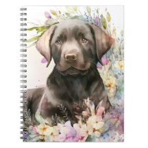 Marrom-aquarela Labrador Retriever e Flores