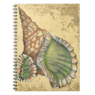 Caderno Espiral Marrom e Seashell Verde