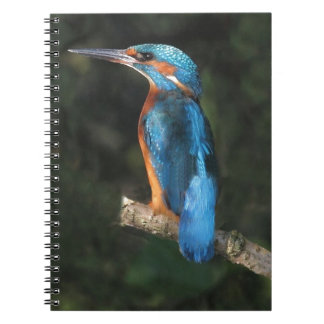 Caderno Espiral Martinho pescatore