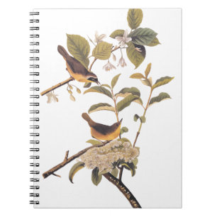 Caderno Espiral Maryland Yellowthroat Audubon Birds em Olive Tree