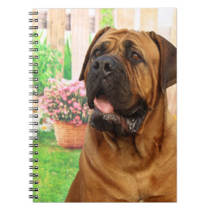 Caderno Espiral Mastiff do Bordéus
