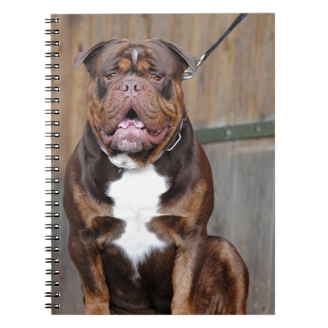 Caderno Espiral Mastiff Francês (Frente)