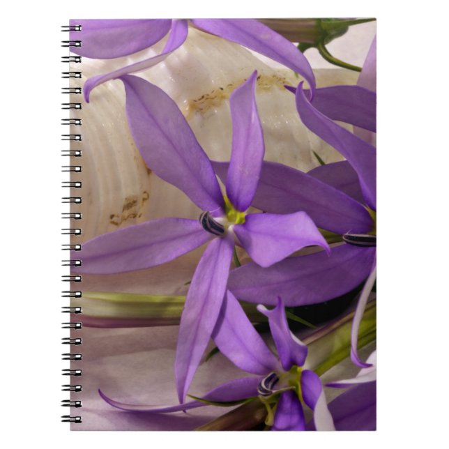 Caderno Espiral Mauve Starshine Laurentia (Frente)