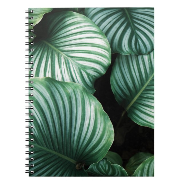 Caderno Espiral me deixe sozinho (Frente)