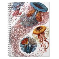 Medusas por Ernst Haeckel