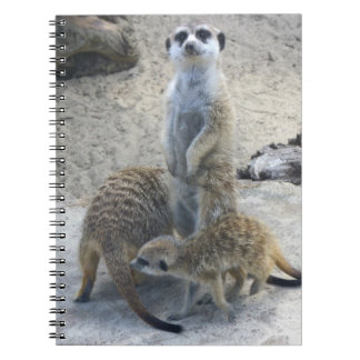 Caderno Espiral Meerkat