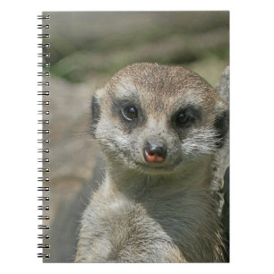 Caderno Espiral Meerkat 005