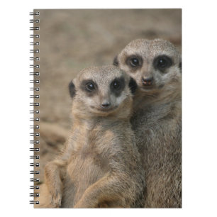 Caderno Espiral Meerkat 090