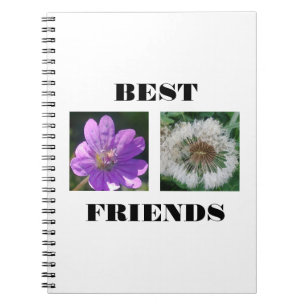 Caderno Espiral Melhor Modelo de Imagem de Amigos