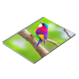 Caderno Espiral Melhor Seleção de Notebook: Onde Estilo Se Encontr