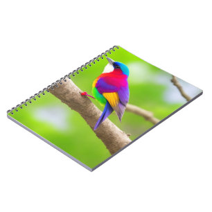 Caderno Espiral Melhor Seleção de Notebook: Onde Estilo Se Encontr