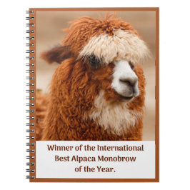 Caderno Espiral Melhor Sobrancelha Unida de Alpaca