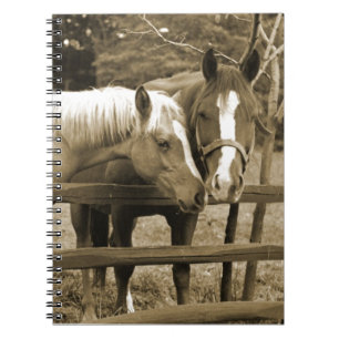 Caderno Espiral Melhores amigos
