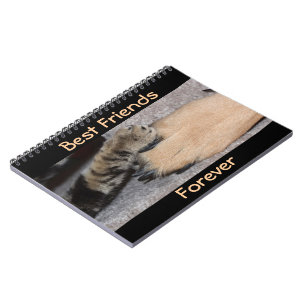 Caderno Espiral Melhores Amigos para sempre por Shirley Taylor