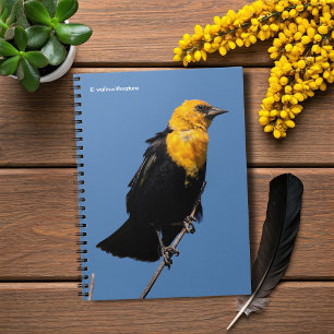 Caderno Espiral Melro Amarelo-Dirigido lindo em um dia ventoso