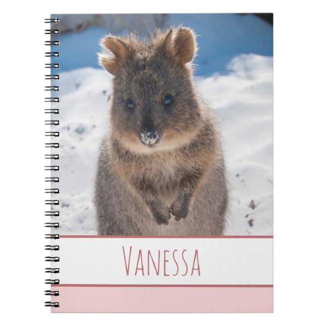 Caderno Espiral Meninas Rosa Nome Personalizado Quokka na Praia (Frente)