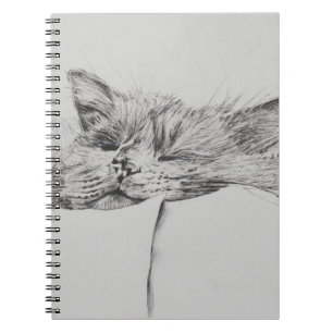 Caderno Espiral Menino sonolento de Monty