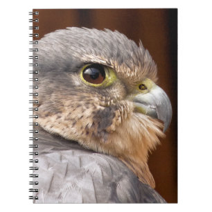 CADERNO ESPIRAL MERLIN FALCON BIRD OF PREY