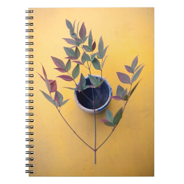 Caderno Espiral Mesa amarela (Frente)