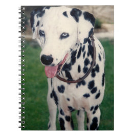Caderno Espiral Meu amigo de estimação, Dalmaciano, personalizado