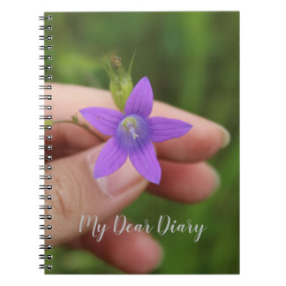Caderno Espiral Meu Caro Diário