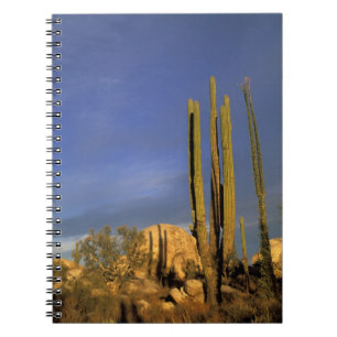 Caderno Espiral México, Baja del Norte, Deserto Nacional de Catavi