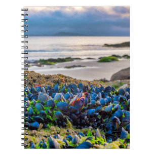 Caderno Espiral Mexilhões