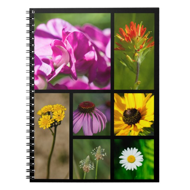 Caderno Espiral Michigan Wildflower Montage (Frente)