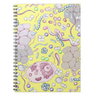 Caderno Espiral Microbiologia no amarelo