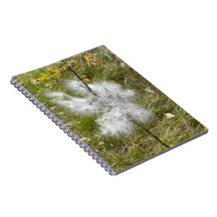 Caderno Espiral Milkweed Borboleta Espiral