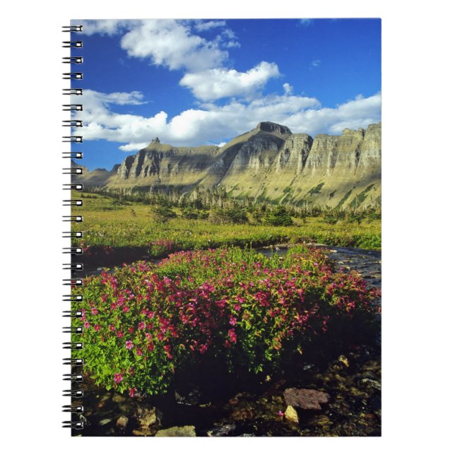 Caderno Espiral Mimulus de Logan Pass no Parque Nacional Glacier (Frente)