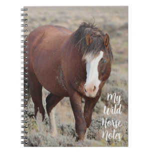 Caderno Espiral Minhas Notas de Cavalo Selvagem
