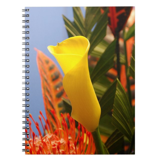 Caderno Espiral mini amarelo calla lily (Frente)