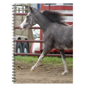 Caderno Espiral Mini cavalo na classe libertária