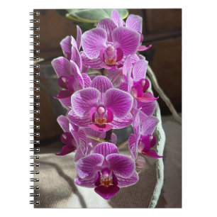 Caderno Espiral Mini Phalaenopsis Sogo Vivien Purple Orchid Flower