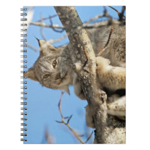 Caderno Espiral Mischievous Lynx