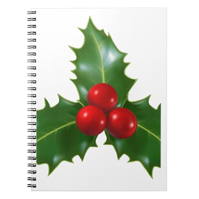 Caderno Espiral Mistletoe (Frente)