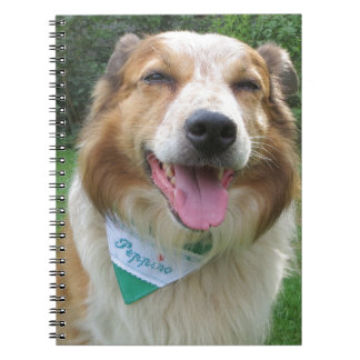 Caderno Espiral mistura de collie de borda