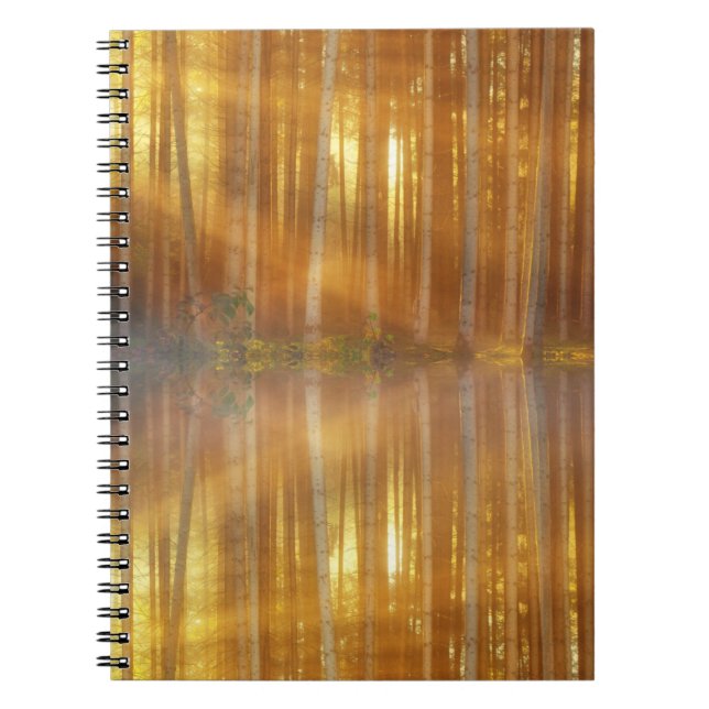 Caderno Espiral Misty Forest Scene (Frente)