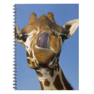 Caderno Espiral Mmmm Mmmmm bom