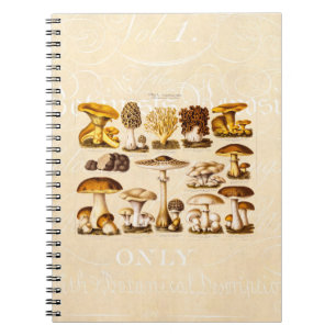 Caderno Espiral Modelo dos cogumelos da variedade do cogumelo dos